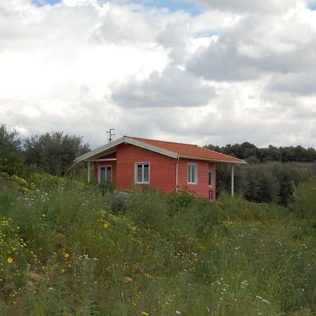 Mandorleo Διαμέρισμα Belpasso Εξωτερικό φωτογραφία